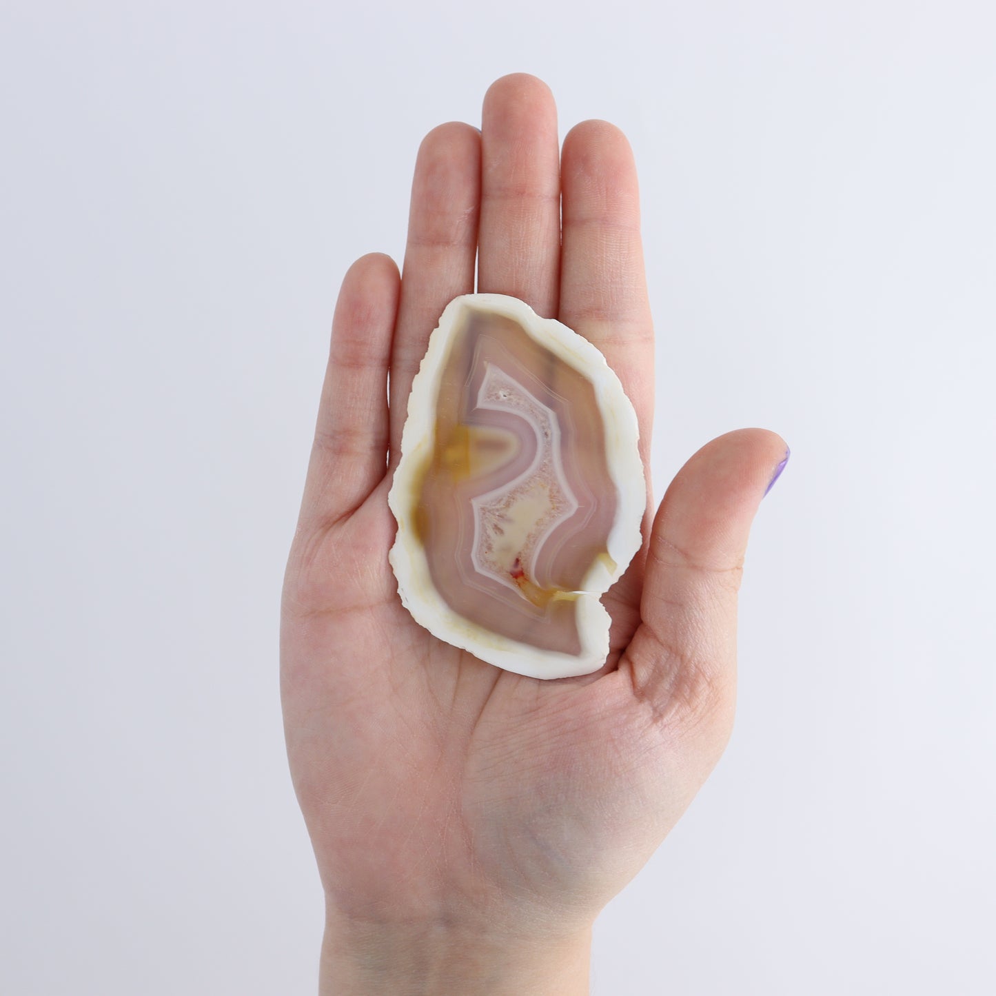 Iris Agate Slices Set of 6 - Expert Wholesale and Supplier of Wholesale Crystals & Bulk Gemstones, ["Agate","Iris Agate","Slices and Slabs"]
