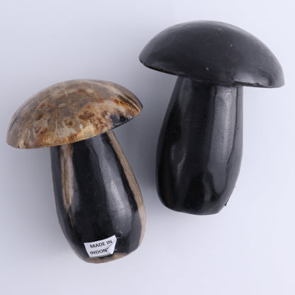 Petrified Wood Mushrooms Set of 4 - Expert Wholesale and Supplier of Wholesale Crystals & Bulk Gemstones, ["Indonesia","Mushrooms","Petrified Wood"]