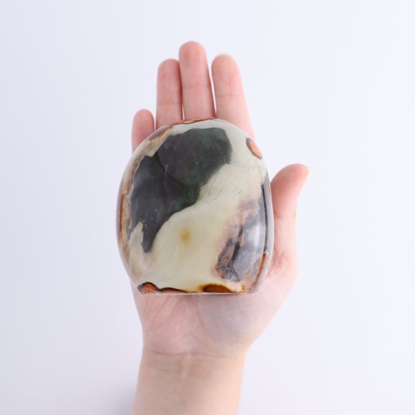 Polychrome Jasper Freeforms Set of 6 - Expert Wholesale and Supplier of Wholesale Crystals & Bulk Gemstones, ["jasper","Madagascar","Polychrome Jasper"]