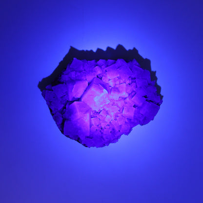 Fluorite Purple Rain Pocket Set of 8 - Expert Wholesale and Supplier of Wholesale Crystals & Bulk Gemstones, ["close_50","England","Fluorite","Purple Rain Pocket","Rough"]