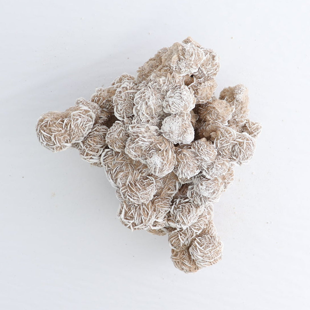 Desert Rose Set of 3