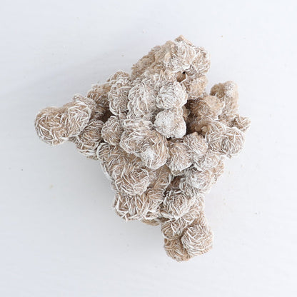 Desert Rose Set of 3