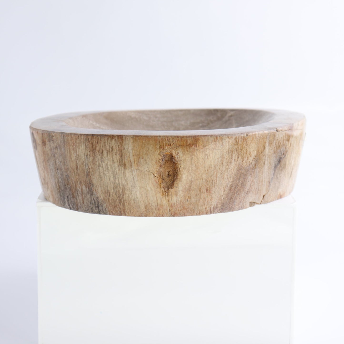 One Petrified Wood Brown Polished Bowl