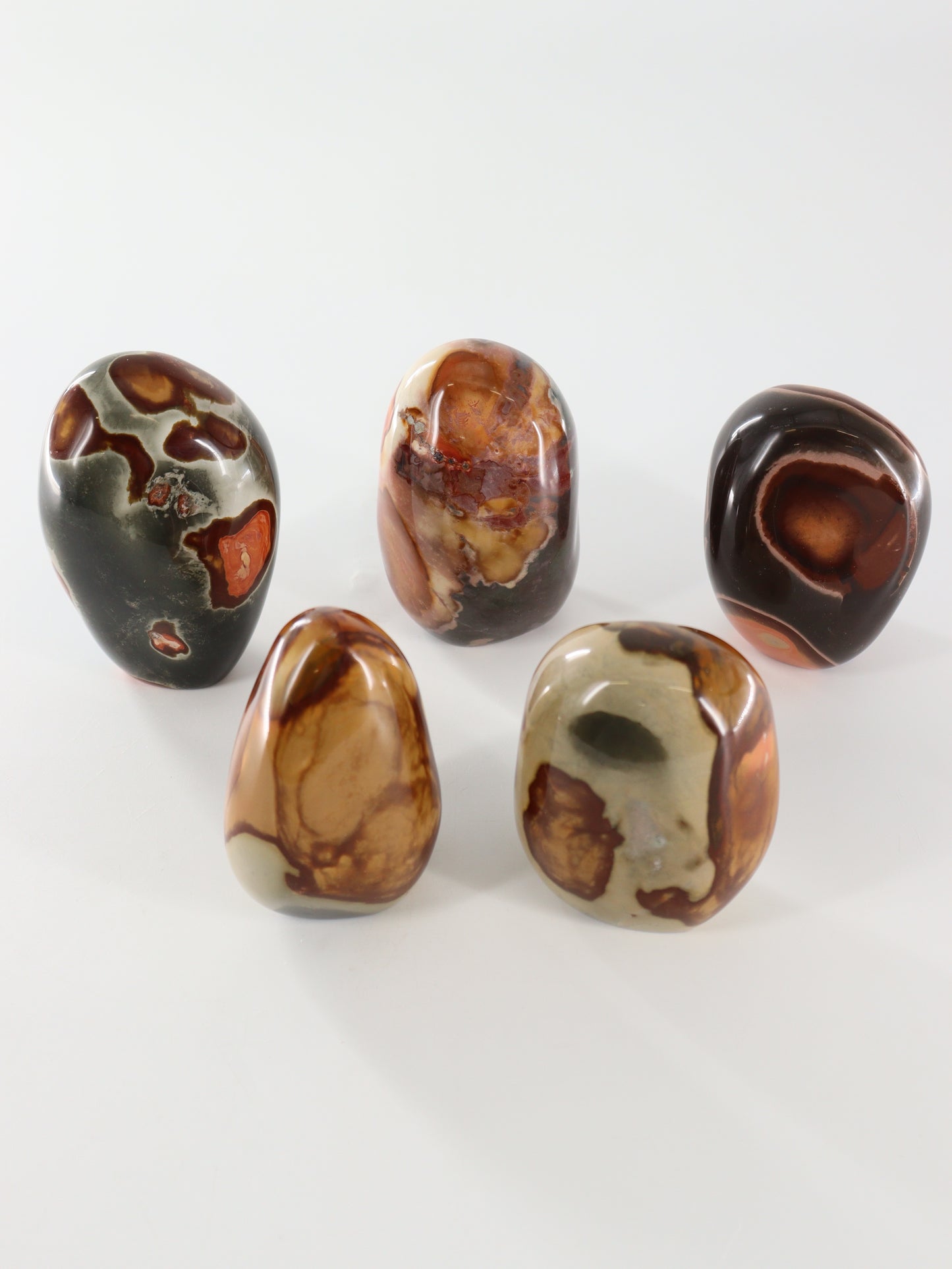 Polychrome Jasper Freeforms Set of 5 - Expert Wholesale and Supplier of Wholesale Crystals & Bulk Gemstones, []