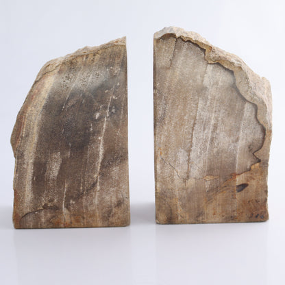 Bookends Petrified Wood - Expert Wholesale and Supplier of Wholesale Crystals & Bulk Gemstones, ["Bookends","Indonesia","Petrified Wood"]