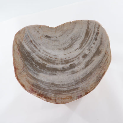 Petrified Wood Stool