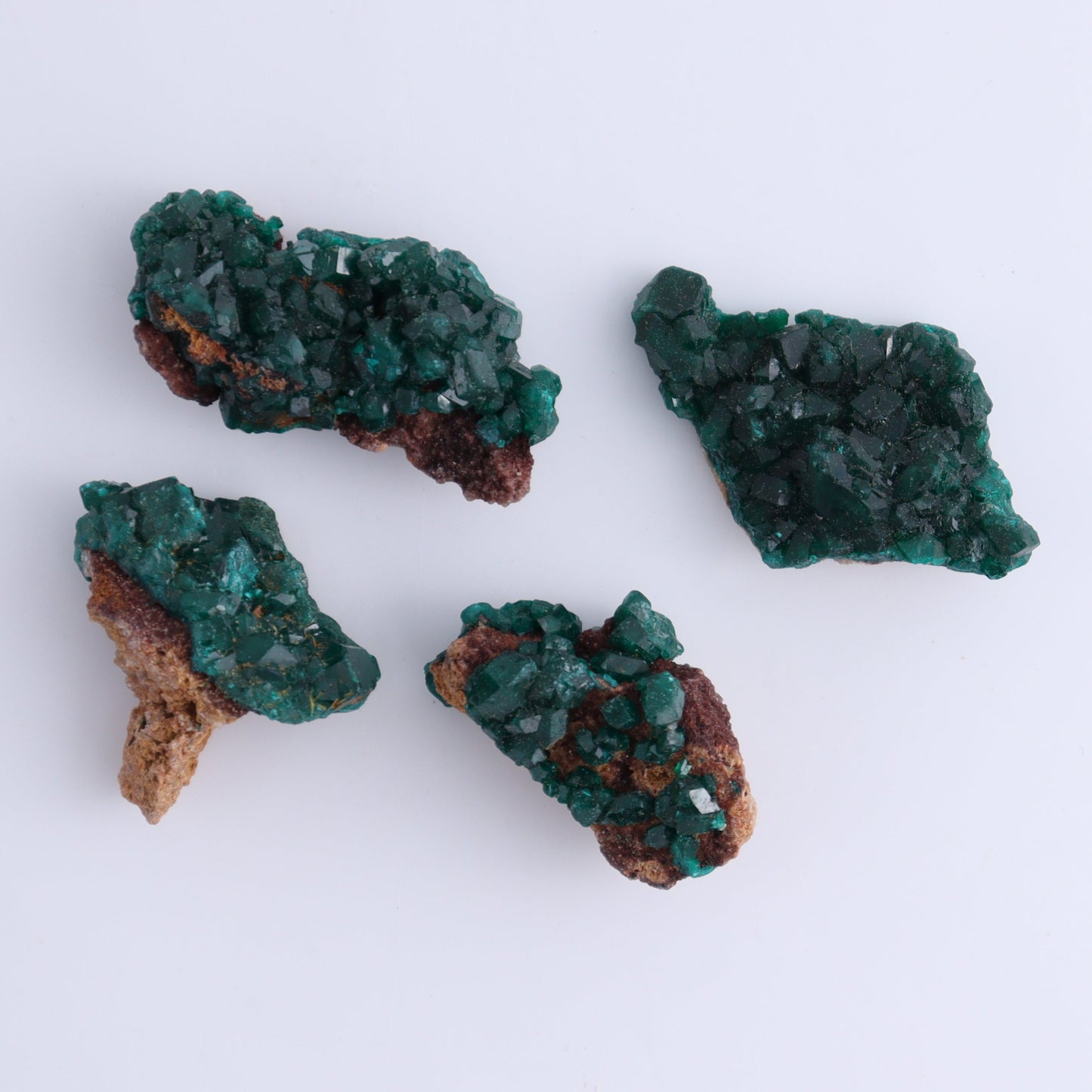 Dioptase Set of 12 - Expert Wholesale and Supplier of Wholesale Crystals & Bulk Gemstones, ["dioptase","Freeform","Freeforms"]