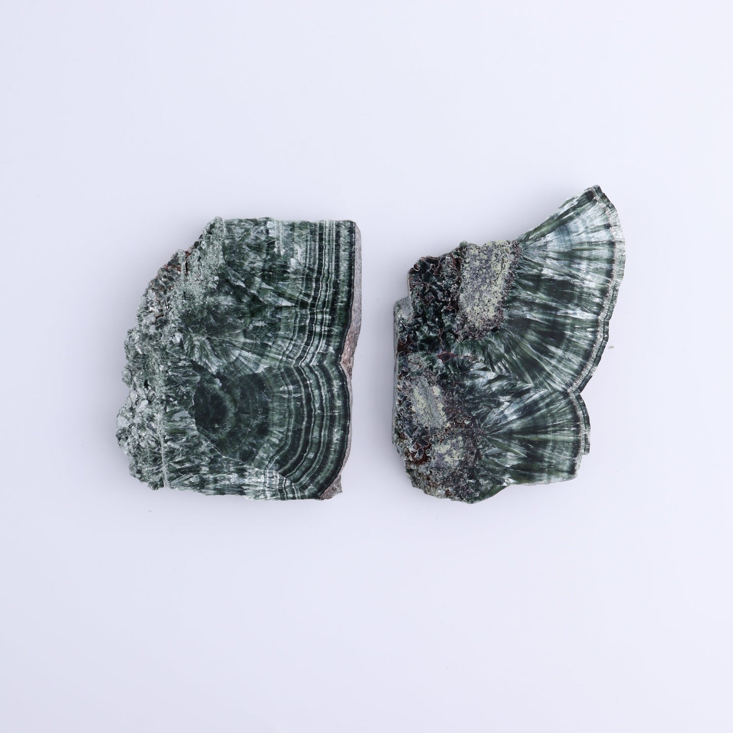 Seraphinite Slices Set of 6 - Expert Wholesale and Supplier of Wholesale Crystals & Bulk Gemstones, ["Russia","Seraphinite","Slices and Slabs"]