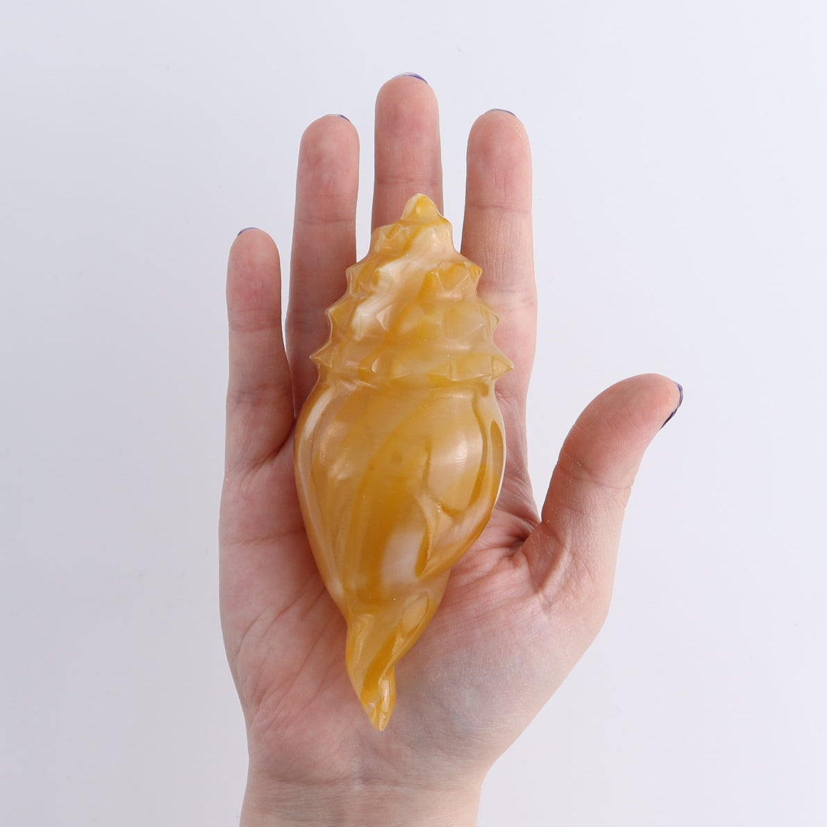 One Mexican Onyx/Calcite Shell Cut Base Beige/Honey