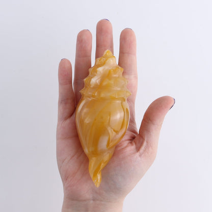 One Mexican Onyx/Calcite Shell Cut Base Beige/Honey