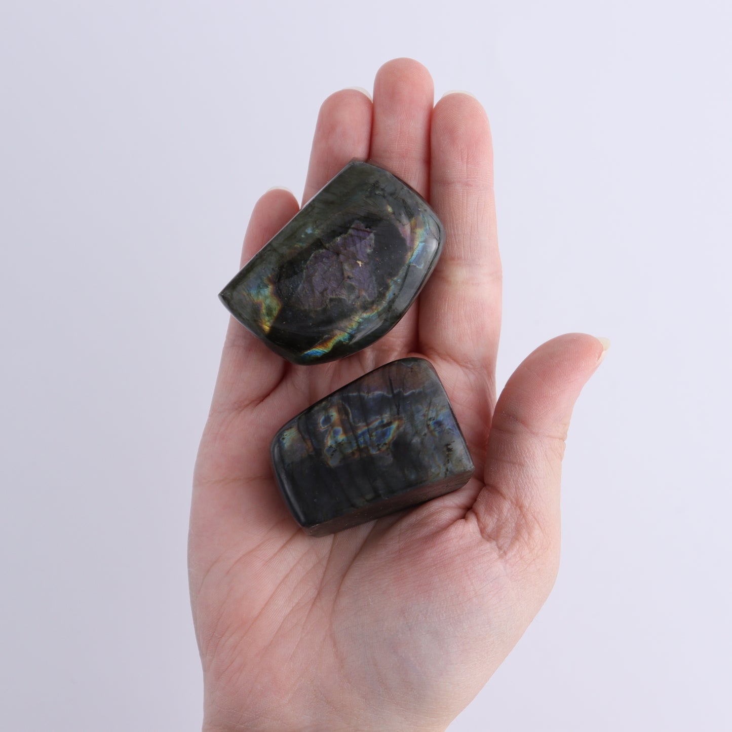 Labradorite Freeform Set of 10 - Expert Wholesale and Supplier of Wholesale Crystals & Bulk Gemstones, ["Freeforms","Labradorite","Madagascar"]