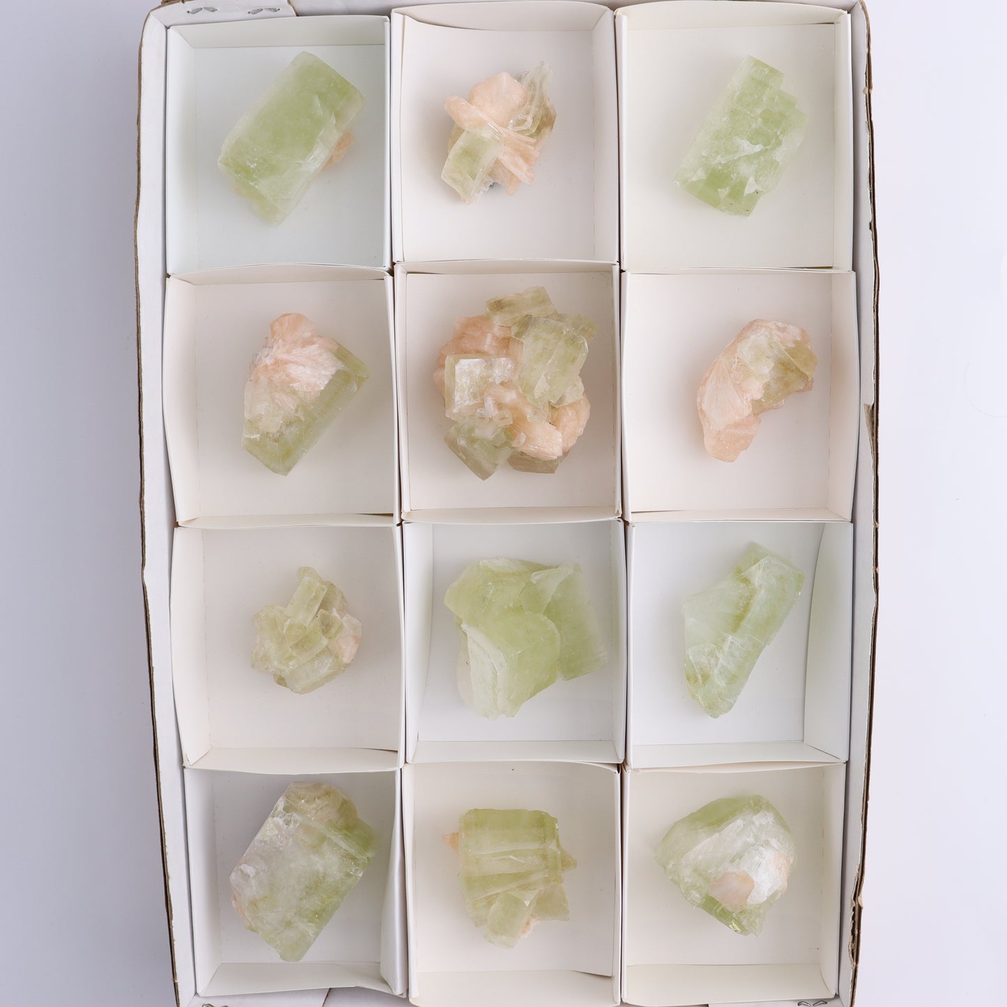 Apophyllite Clusters Flat of 12