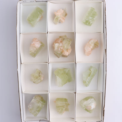 Apophyllite Clusters Flat of 12