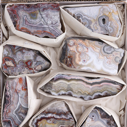 Crazy Lace Agate Flat of 10 - Expert Wholesale and Supplier of Wholesale Crystals & Bulk Gemstones, ["Crazy Lace Agate","Mexico"]