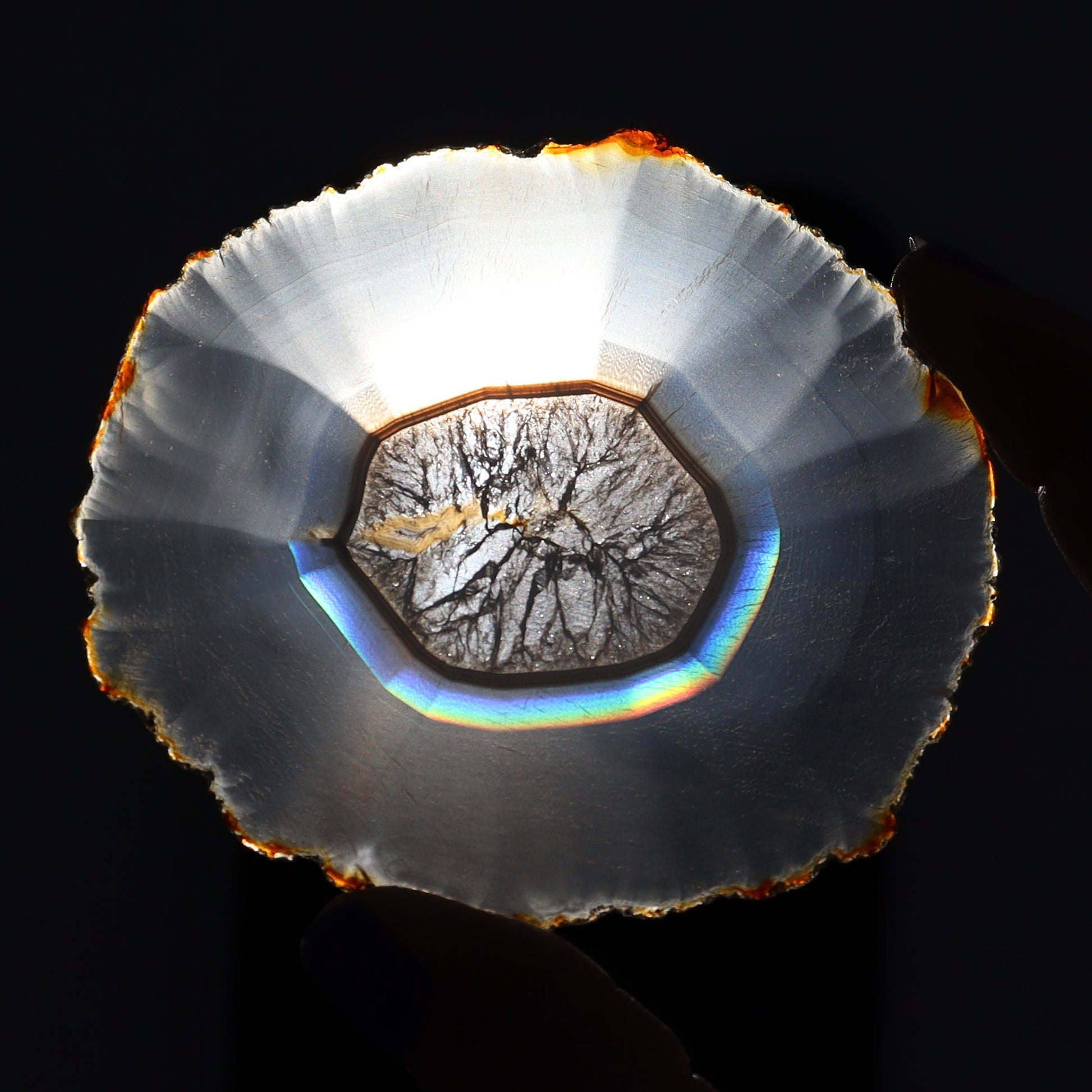 Iris Agate Slices Set of 6 - Expert Wholesale and Supplier of Wholesale Crystals & Bulk Gemstones, ["Agate","Iris Agate","Slices and Slabs"]