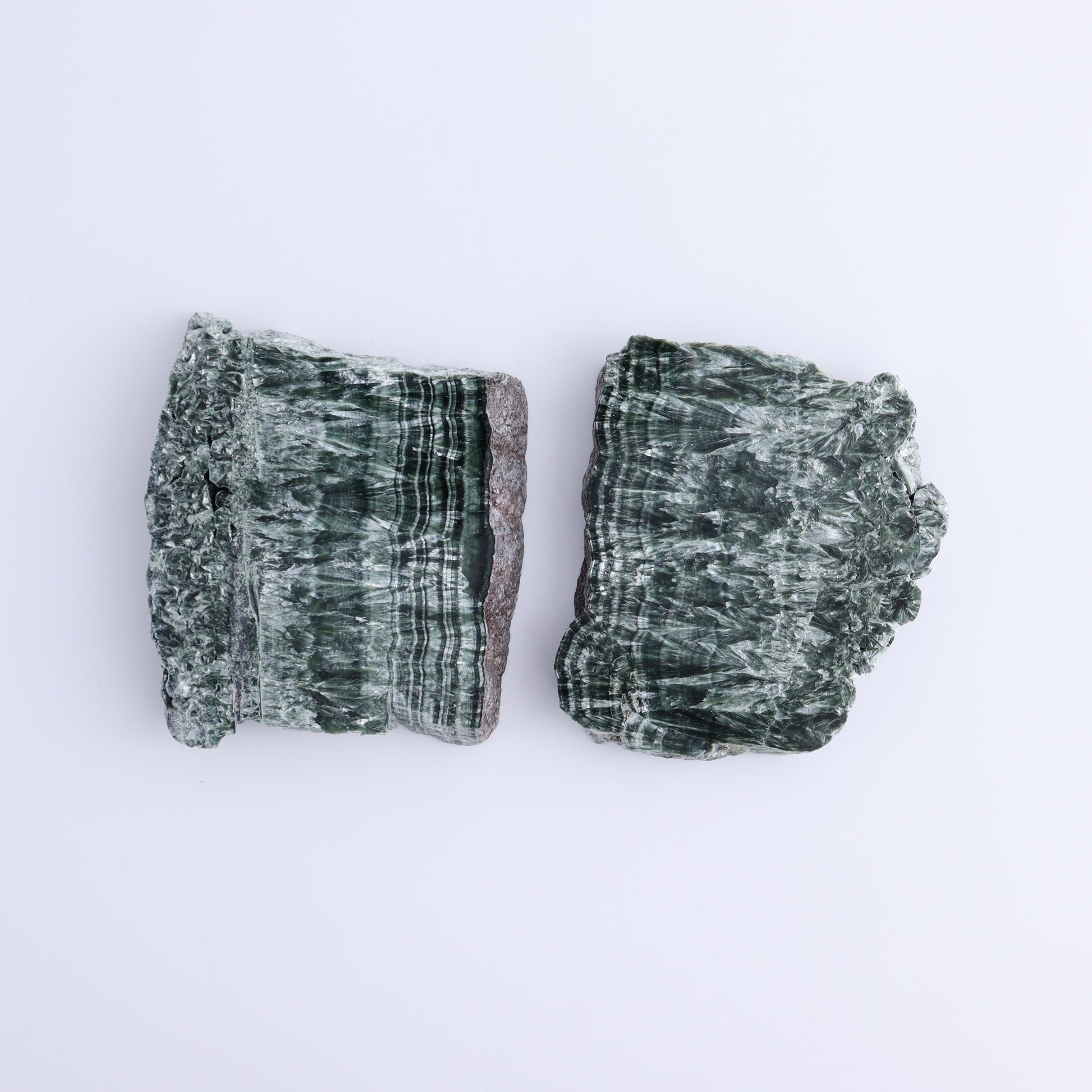 Seraphinite Slices Set of 6 - Expert Wholesale and Supplier of Wholesale Crystals & Bulk Gemstones, ["Russia","Seraphinite","Slices and Slabs"]