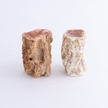 Petrified Wood Cut Bases Set of 10 - Expert Wholesale and Supplier of Wholesale Crystals & Bulk Gemstones, ["Cut Base","Petrified Wood"]