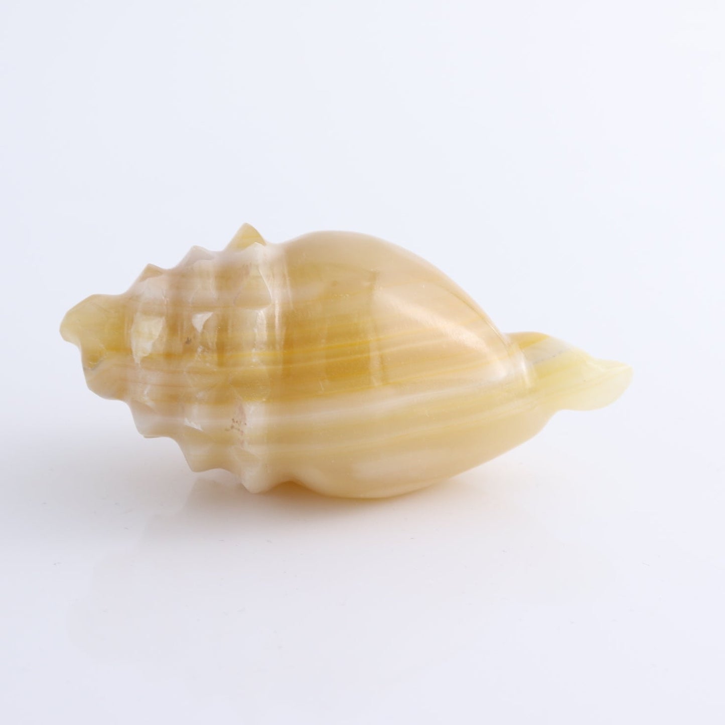 One Mexican Onyx/Calcite Shell Cut Base Beige/Honey
