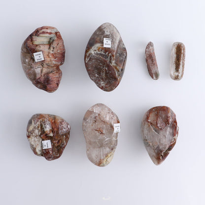 Lodolite Freeforms Set of 7