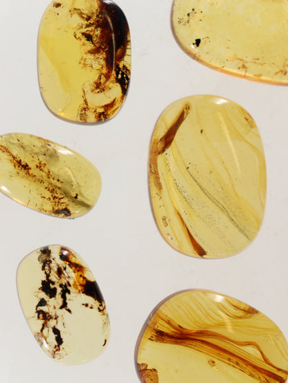 Chiapas Amber Cabs Set of 8