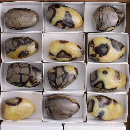 Septarian Freeforms Set of 12 - Expert Wholesale and Supplier of Wholesale Crystals & Bulk Gemstones, ["Freeforms","Madagascar","Septarian"]