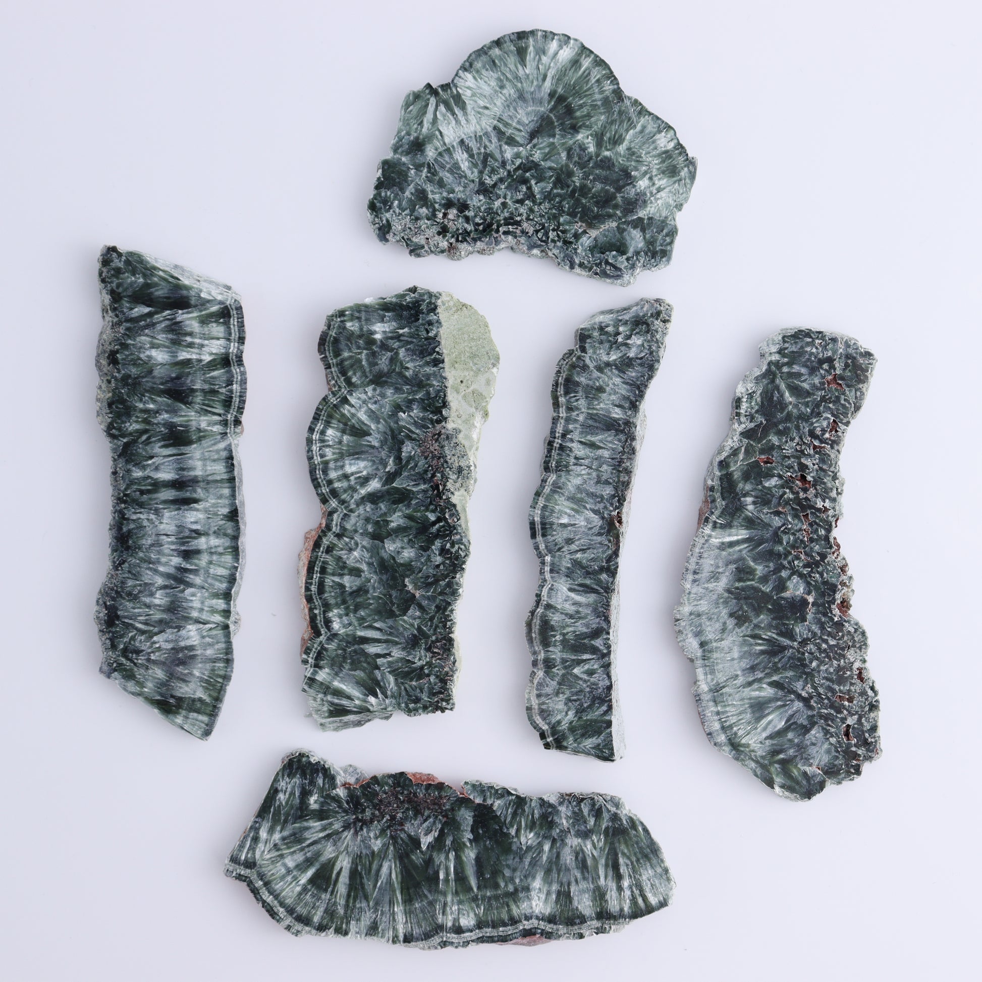 Seraphinite Slices Set of 6 - Expert Wholesale and Supplier of Wholesale Crystals & Bulk Gemstones, ["Seraphinite","Slices and Slabs"]