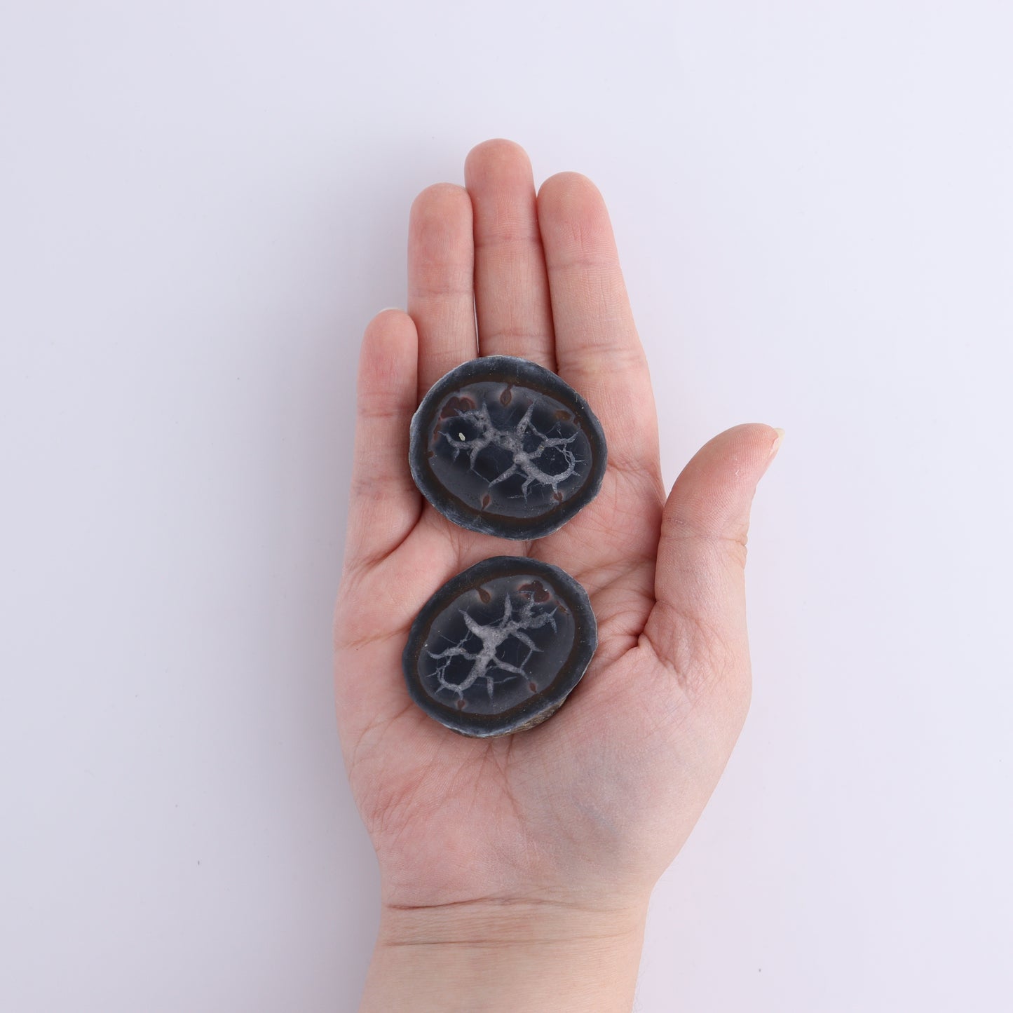 Septarian Geodes Flat - Expert Wholesale and Supplier of Wholesale Crystals & Bulk Gemstones, ["Geodes","Septarian"]