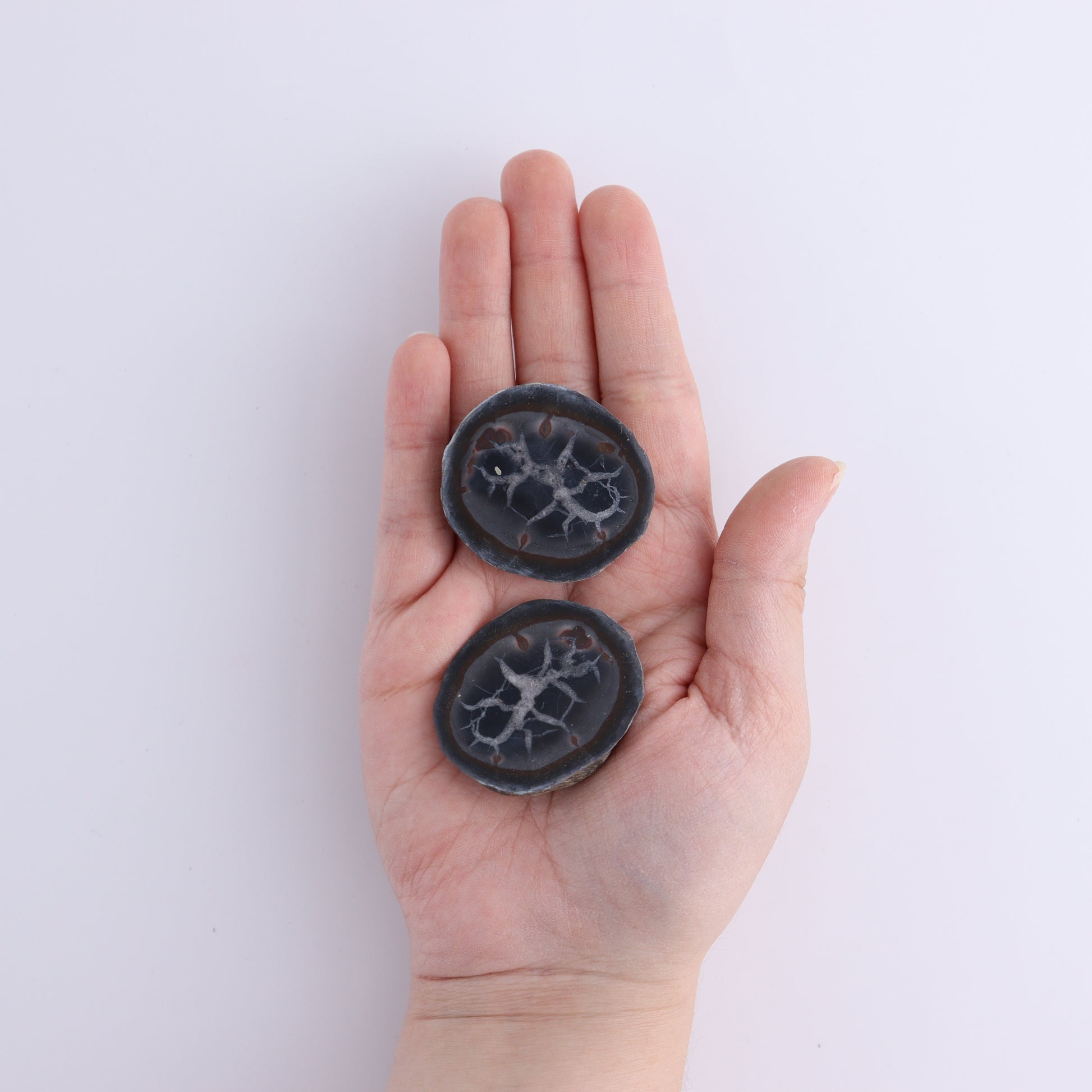 Septarian Geodes Flat - Expert Wholesale and Supplier of Wholesale Crystals & Bulk Gemstones, ["Geodes","Septarian"]