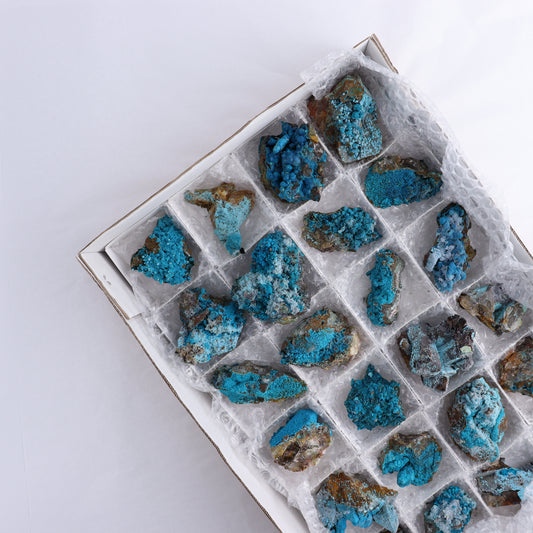 Chrysocolla on Quartz Roughs Set of 24 - Expert Wholesale and Supplier of Wholesale Crystals & Bulk Gemstones, ["Chrysocolla","Flats","Freeforms","Peru","Quartz","Rough"]