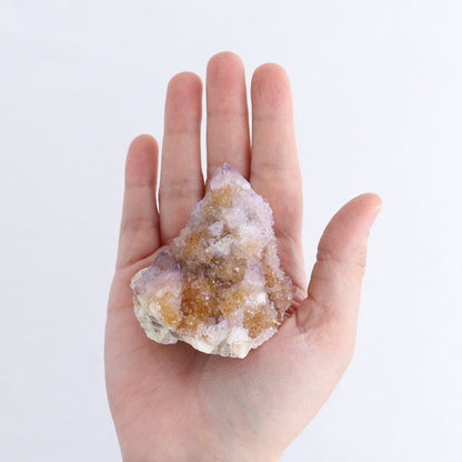 Cactus Quartz Set of 19