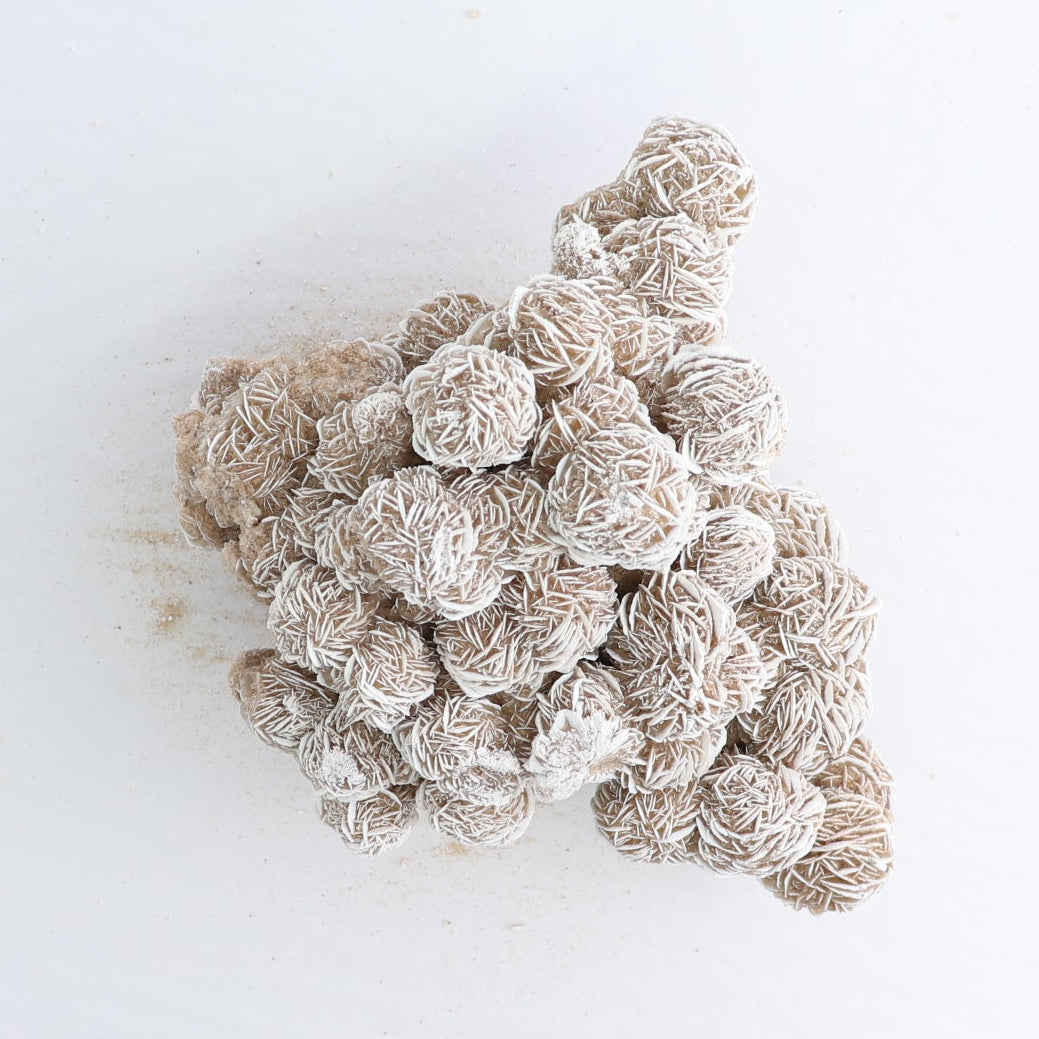 Desert Rose Set of 3