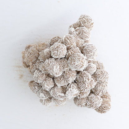 Desert Rose Set of 3