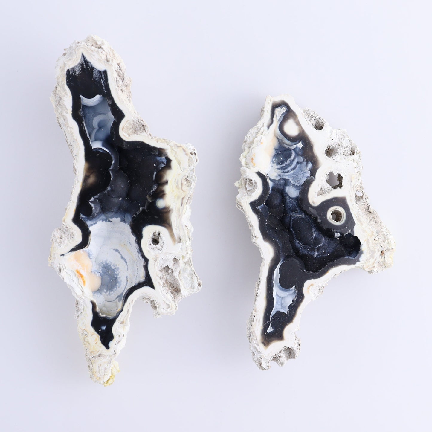 Agatized Coral Flat - Expert Wholesale and Supplier of Wholesale Crystals & Bulk Gemstones, ["Agate","Agatized Coral","Coral","United States"]