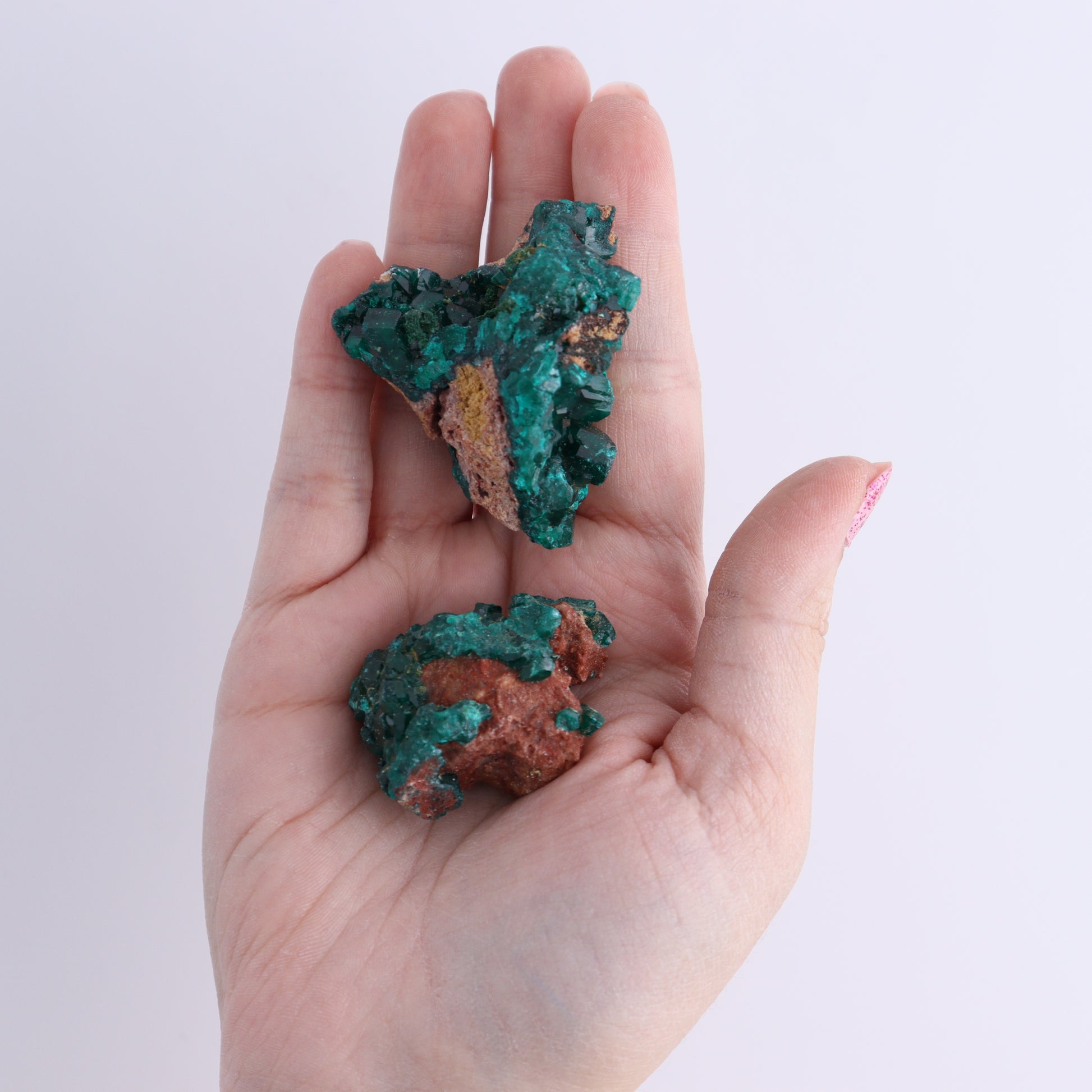 Dioptase Set of 12 - Expert Wholesale and Supplier of Wholesale Crystals & Bulk Gemstones, ["dioptase","Freeform","Freeforms"]