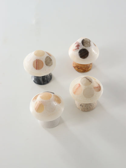 Mixed Onyx Mushrooms Set of 9