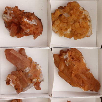 Dark Tangerine Quartz Clusters Set of 6 - Expert Wholesale and Supplier of Wholesale Crystals & Bulk Gemstones, ["Clusters","Quartz","Tangerine Quartz"]