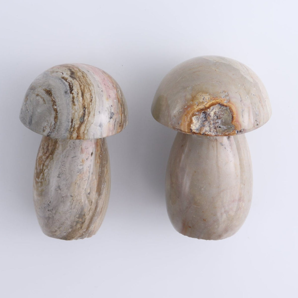 Jasper Mushrooms Set of 8
