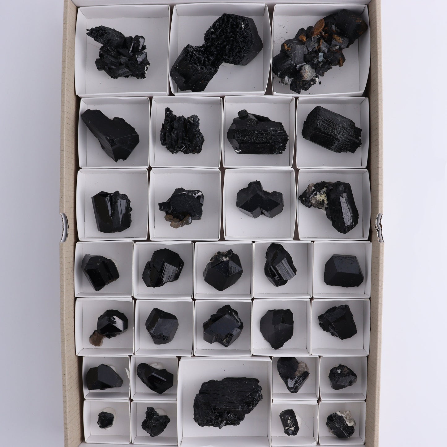 Schorl Tourmaline Flat of 30 - Expert Wholesale and Supplier of Wholesale Crystals & Bulk Gemstones, ["Black Tourmaline","Madagascar","Schorl Tourmaline","Tourmaline"]