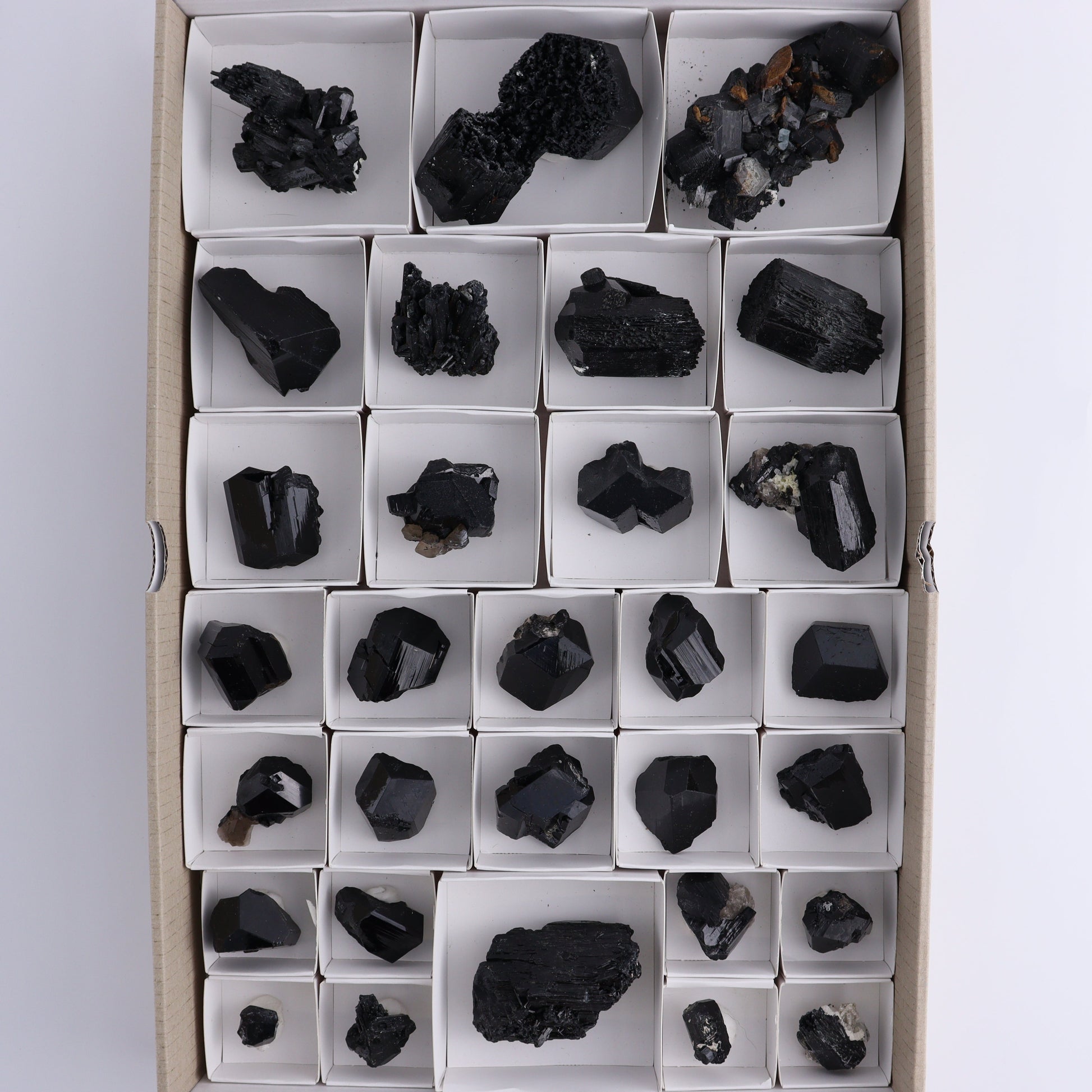 Schorl Tourmaline Flat of 30 - Expert Wholesale and Supplier of Wholesale Crystals & Bulk Gemstones, ["Black Tourmaline","Madagascar","Schorl Tourmaline","Tourmaline"]