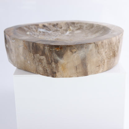 Bowl Petrified Wood - Expert Wholesale and Supplier of Wholesale Crystals & Bulk Gemstones, ["Bowls","Indonesia","Petrified Wood"]
