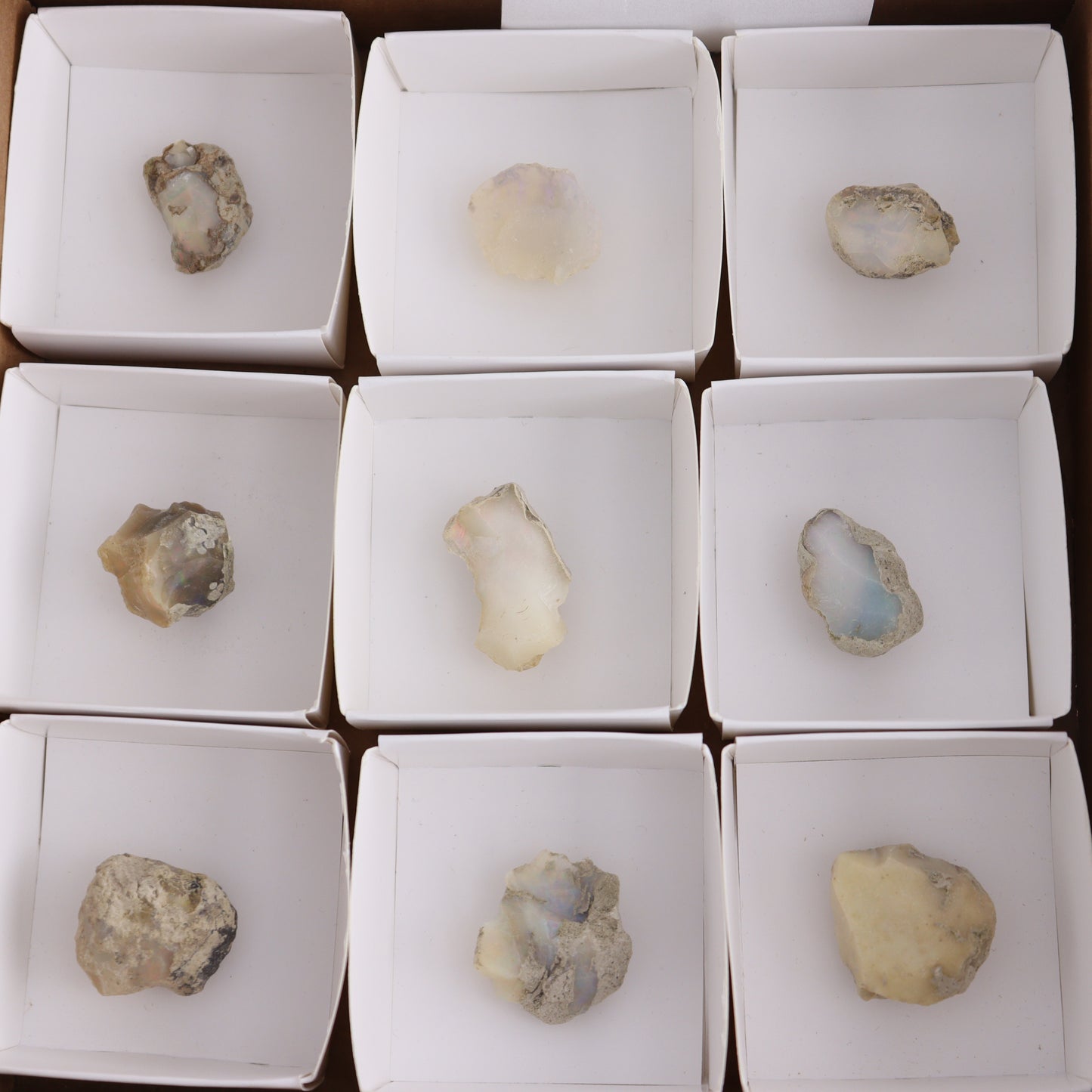 Ethiopian Opal Flat of 9 - Expert Wholesale and Supplier of Wholesale Crystals & Bulk Gemstones, ["ethiopian opal","Flats","Mexico","Opal","Rough"]