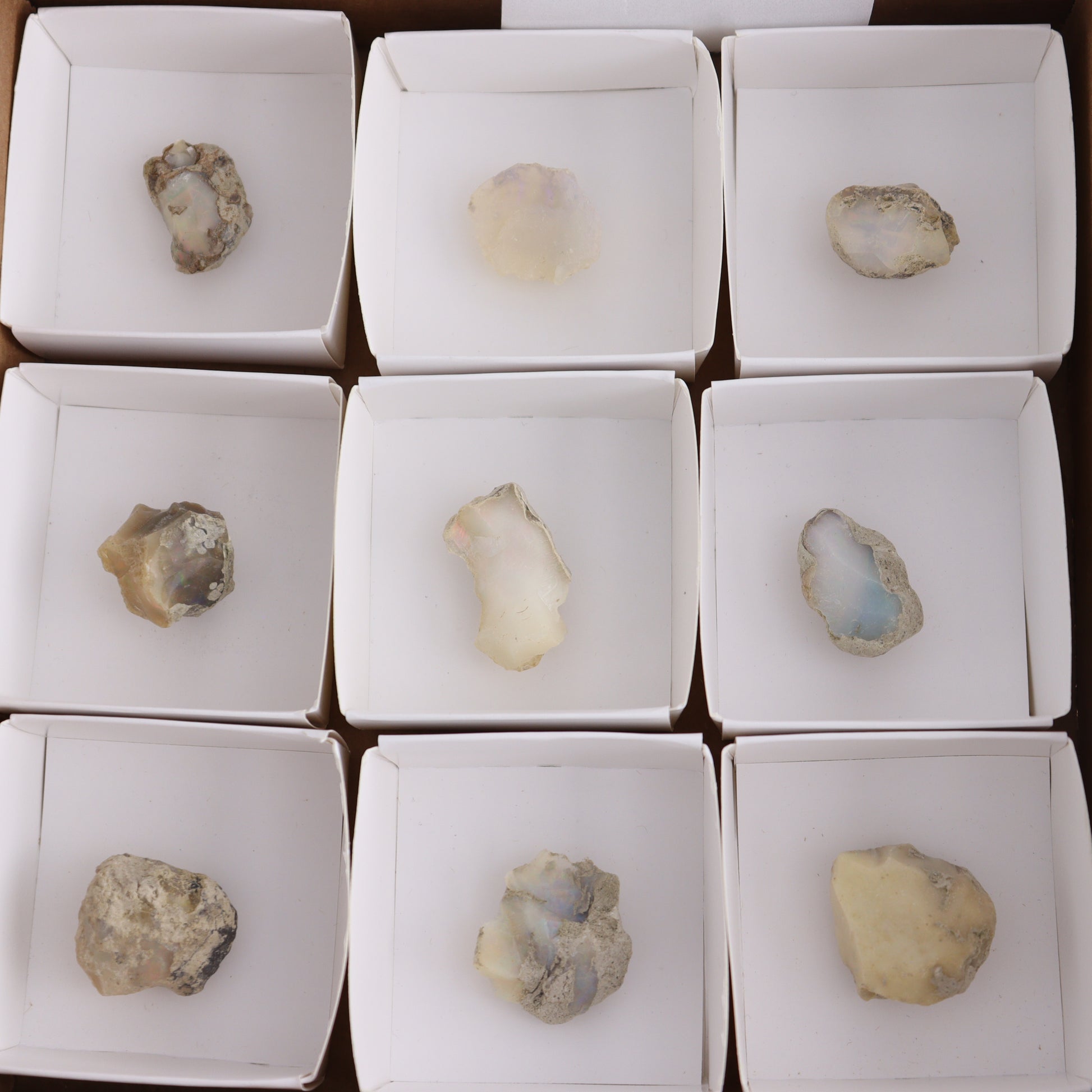 Ethiopian Opal Flat of 9 - Expert Wholesale and Supplier of Wholesale Crystals & Bulk Gemstones, ["ethiopian opal","Flats","Mexico","Opal","Rough"]
