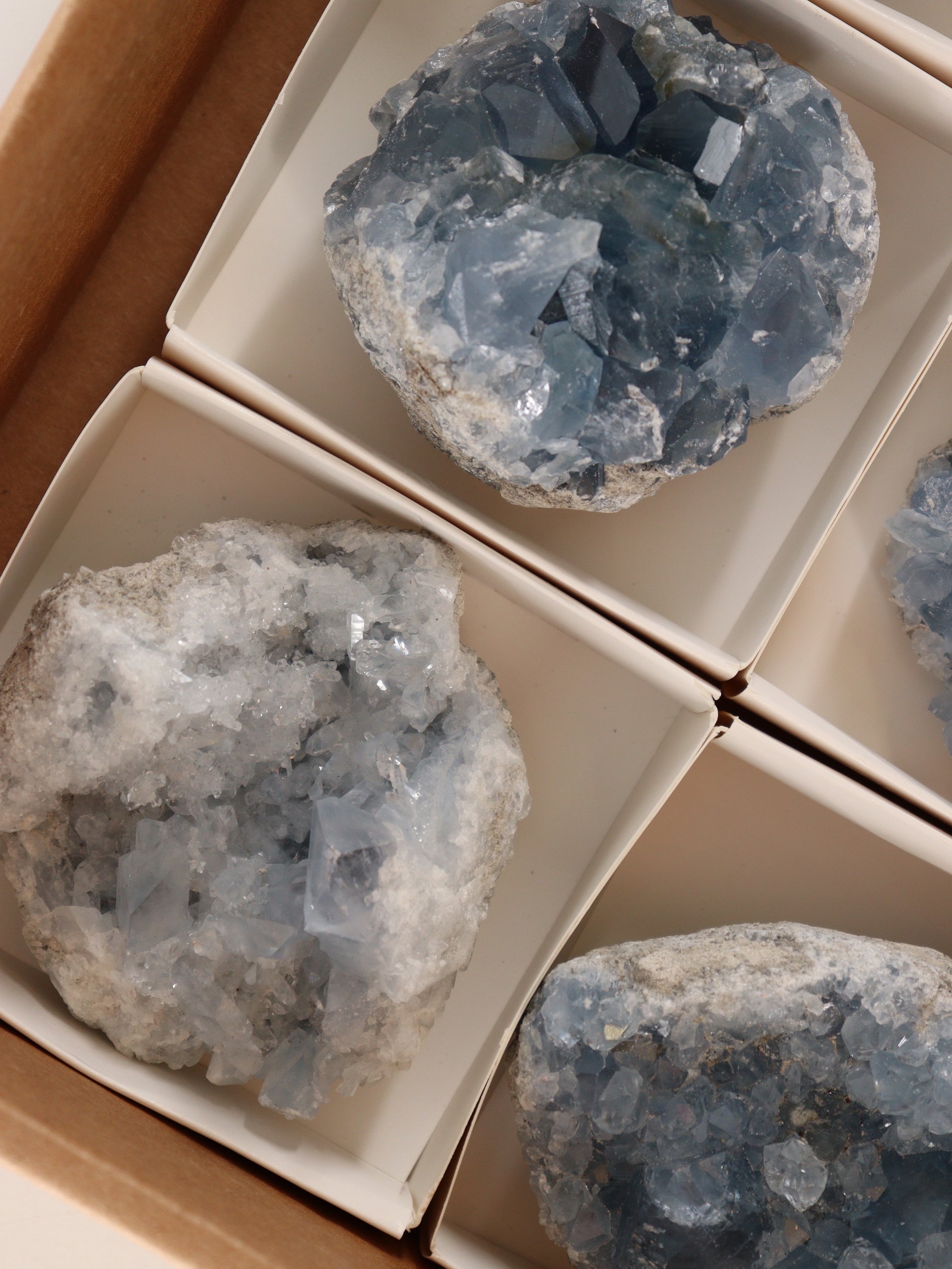 Celestite Clusters Set of 6 - Expert Wholesale and Supplier of Wholesale Crystals & Bulk Gemstones, []