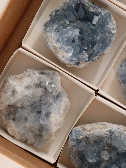 Celestite Clusters Set of 6 - Expert Wholesale and Supplier of Wholesale Crystals & Bulk Gemstones, []