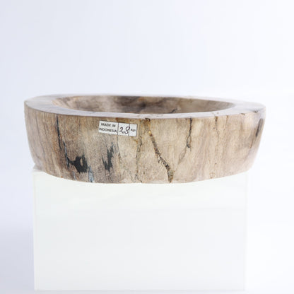 One Petrified Wood Brown Polished Bowl