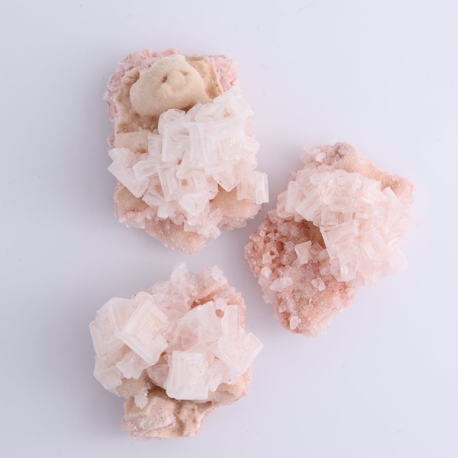 Halite Flat of 6 - Expert Wholesale and Supplier of Wholesale Crystals & Bulk Gemstones, ["Flats","Halite","United States"]