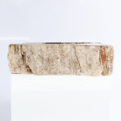 Petrified Wood Bowls Set of 2