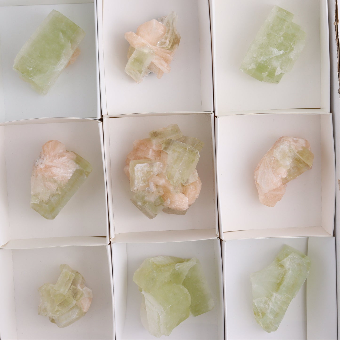 Apophyllite Clusters Flat of 12