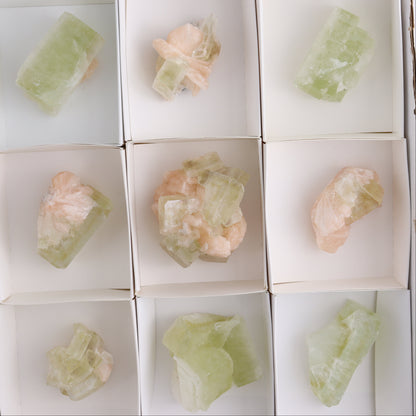 Apophyllite Clusters Flat of 12