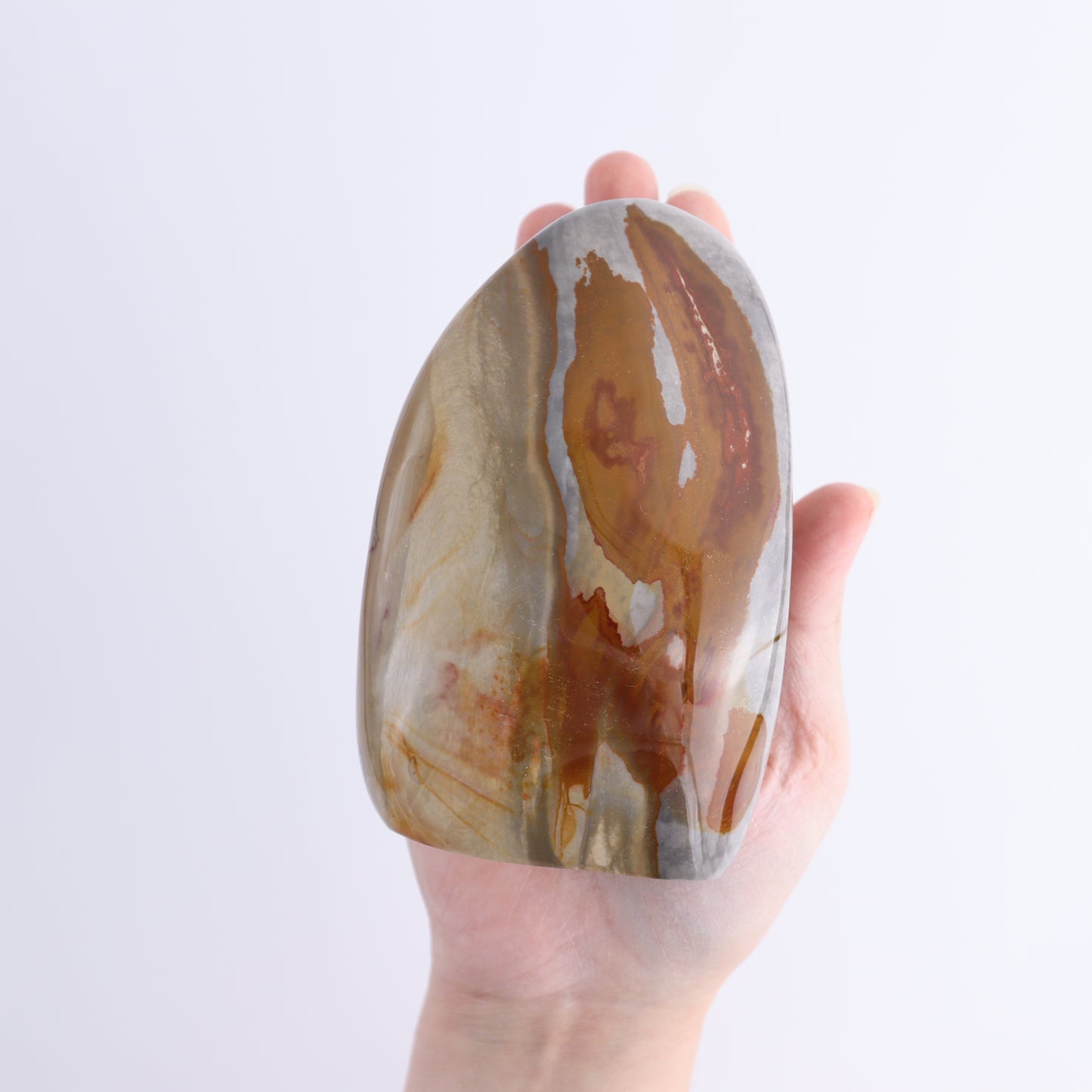 Polychrome Jasper Freeforms Set of 6 - Expert Wholesale and Supplier of Wholesale Crystals & Bulk Gemstones, ["jasper","Madagascar","Polychrome Jasper"]